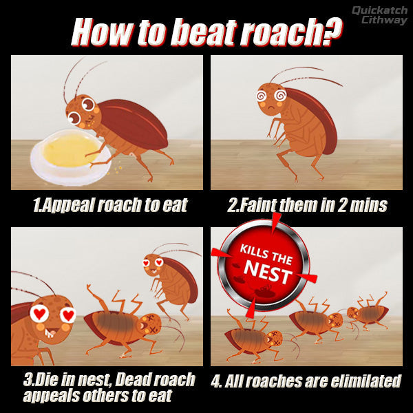 Quickatch™ Roach Ace Bait Station